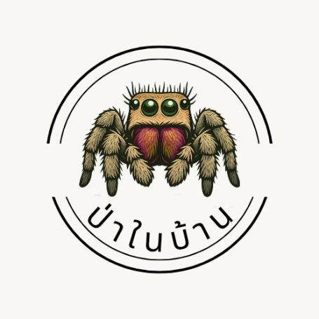 Home Jungles company logo