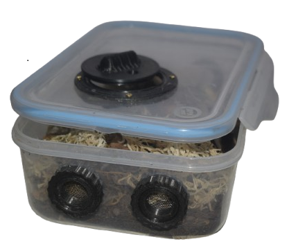 A starter box is ideal for establishing new isopod colonies